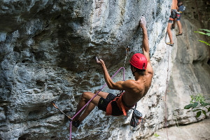  © Фото Елены Синеок, Юга.ру