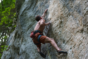  © Фото Елены Синеок, Юга.ру