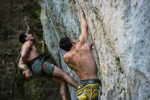  © Фото Елены Синеок, Юга.ру