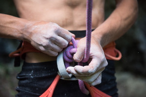  © Фото Елены Синеок, Юга.ру