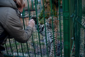  © Фото Кавказского государственного природного заповедника