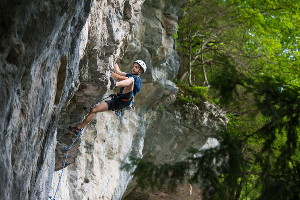 © Фото Елены Синеок, Юга.ру