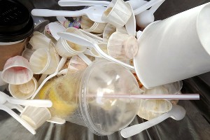  © Фото с сайта pixabay.com