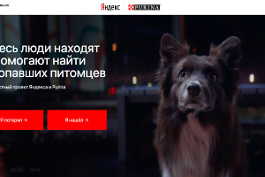 Скриншот главной страницы сайта yandex.ru/petfinder © Юга.ру