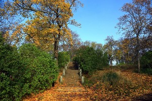 © Фото из группы «Валаамский монастырь» во «ВКонтакте», vk.com/valaam
