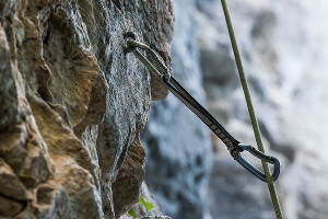  © Фото Елены Синеок, Юга.ру