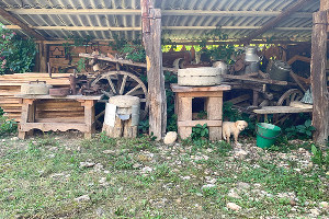  © Фото Ангелины Трофименко, Юга.ру