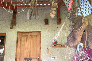  © Фото Ангелины Трофименко, Юга.ру