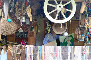  © Фото Ангелины Трофименко, Юга.ру