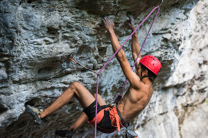  © Фото Елены Синеок, Юга.ру