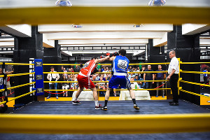 Турнир Краснодарской лиги бокса  © Фото Елены Синеок, Юга.ру