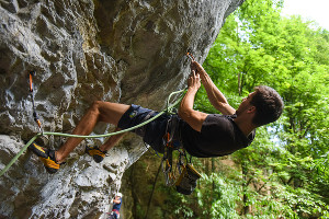  © Фото Елены Синеок, Юга.ру