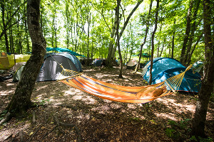 Лагерь фестиваля © Фото Елены Синеок, Юга.ру