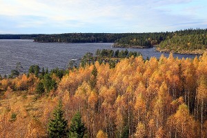 © Фото из группы «Валаамский монастырь» во «ВКонтакте», vk.com/valaam