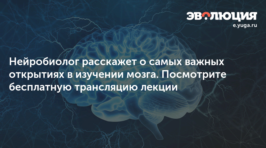 Ученые изучают мозг. Резервные возможности мозга. Нейробиолог врач. Молодость мозга. Наука мозг.
